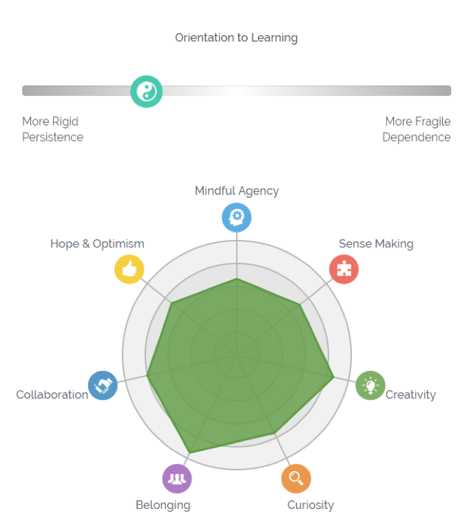 A screenshot of a spider diagram showing a Learning Power profile