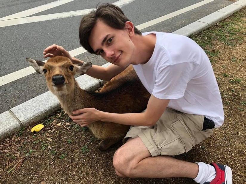 FASS ICS Japan study tour James patting the head of a very cute deer as it rests on the footpath