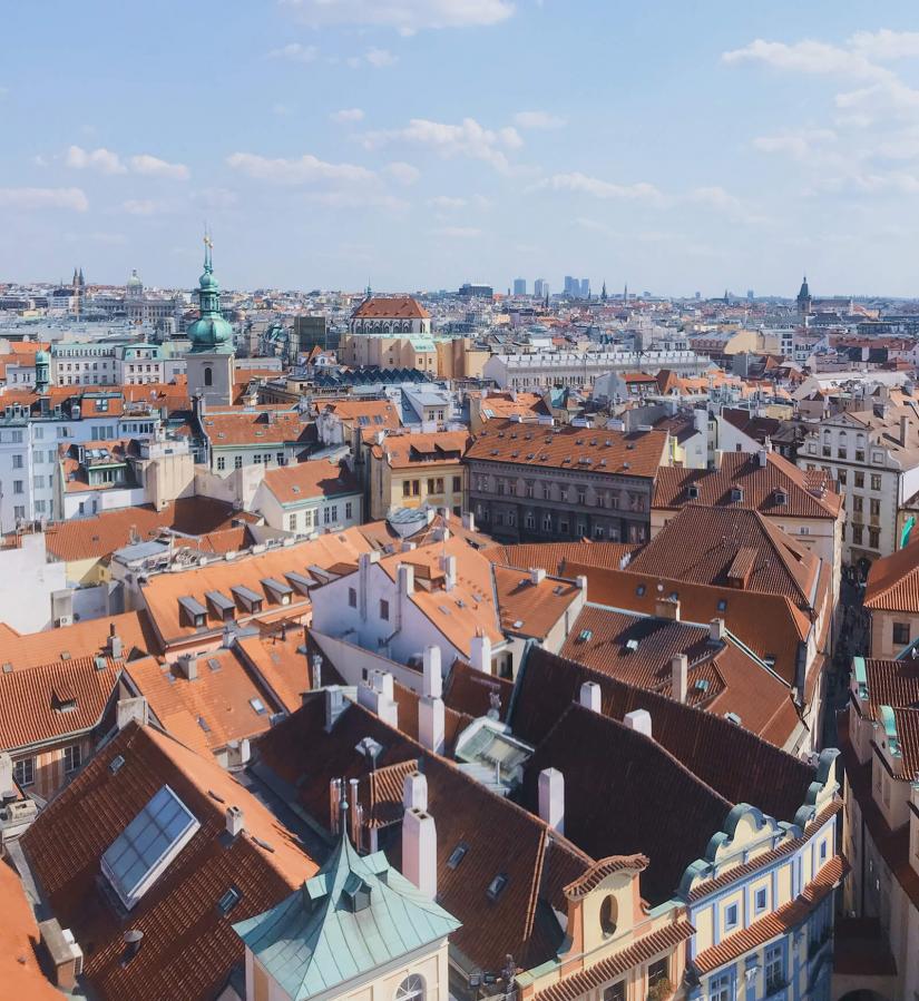 FASS France ICS study tour a cityscape from aerial view