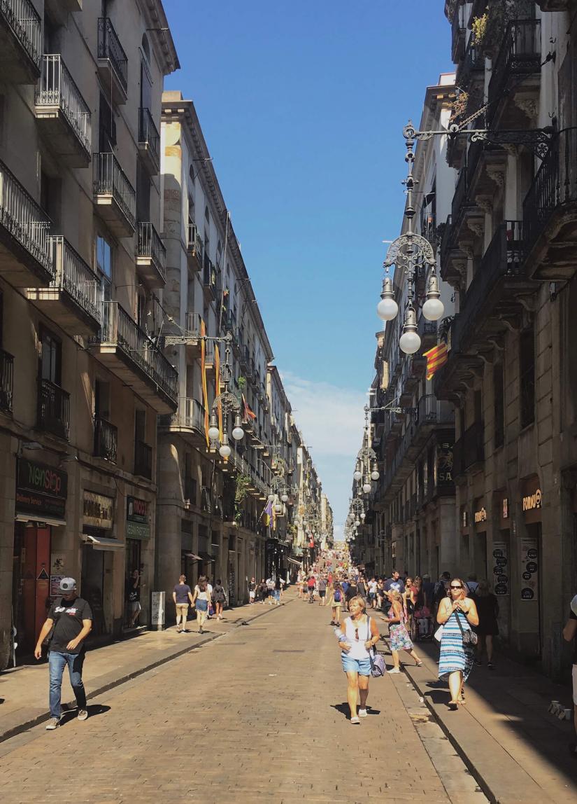 FASS ICS Spain study tour