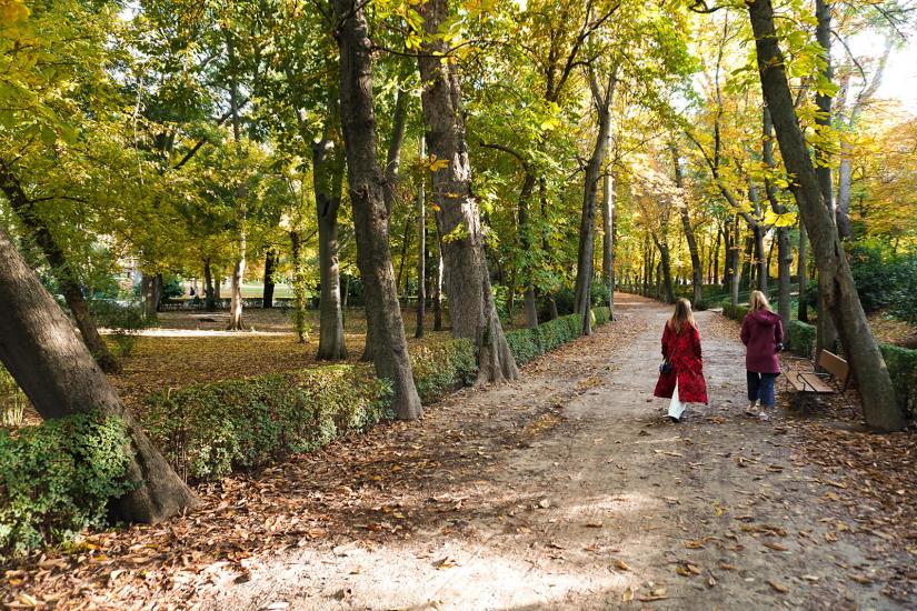 FASS ICS Spain study tour people walking in a park surrounded by Autumn leaves
