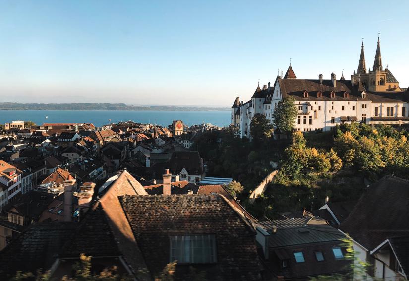 FASS ICS Switzerland study tour aerial view of town