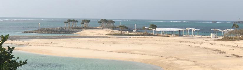 FASS ICS Japan study tour Beach coast in Japan