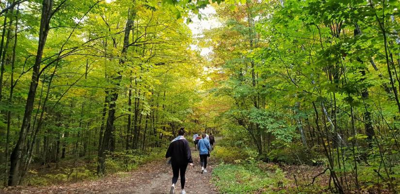 Sahara walking a forest trail surrounded by trees in Canada