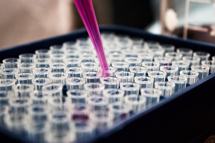 Close up of tray of test tubes, glass flute dispenses pink liquid into each test tube.