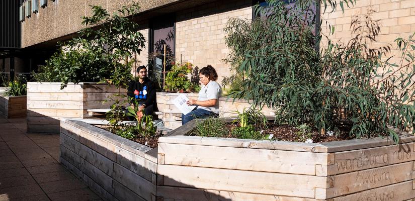 Two people sitting amid the plantings in Waraburra Nura