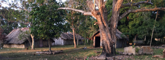 House in Vanuatu