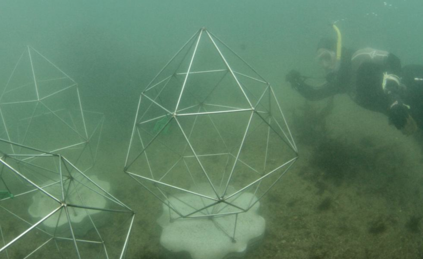 Installing one of the artificial reef pods on the harbour floor beside the Opera House.