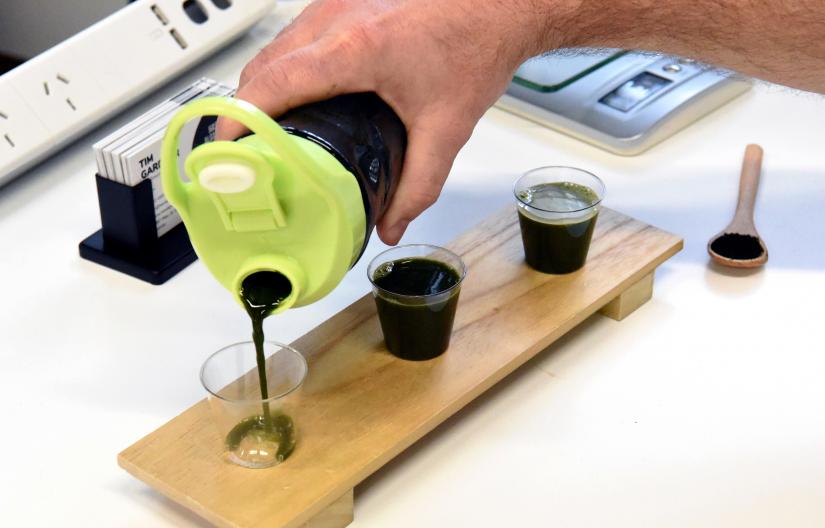 A liquid food made from algae being poured into cups