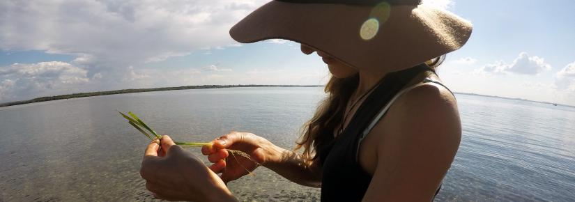 Coastal microbiome research