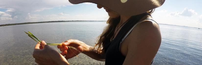 Woman analysing ocean plant life