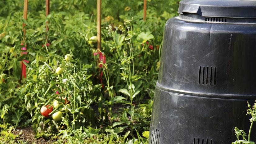 compost