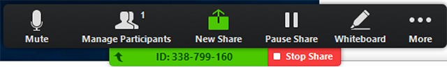 Zoom meeting toolbar displaying 'Pause Share' and 'Stop share' options