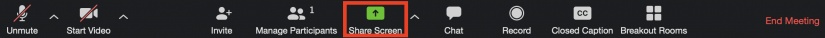 Zoom meeting toolbar with 'Share Screen' option highlighted