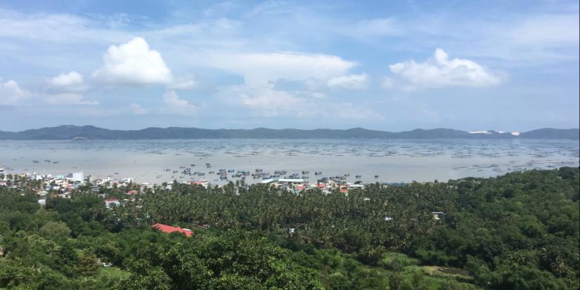 An elevated view across a bay filled with fishing boats