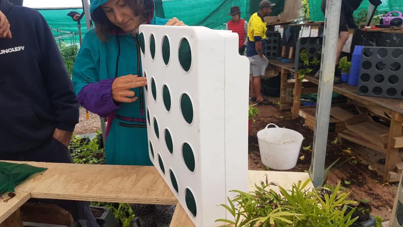 Building a green wall at Junglefy