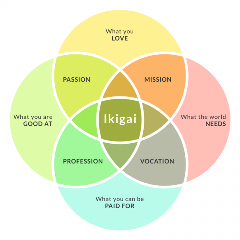 Venn-diagram showing passion, mission, vocation and profession as intersections