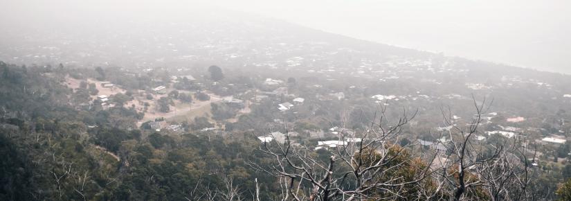 Bushfire smoke 