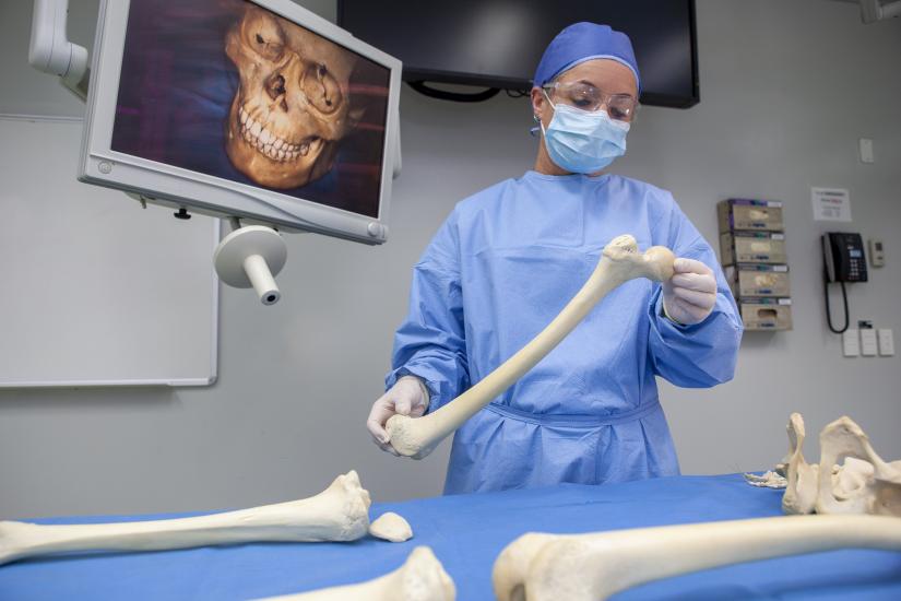 UTS forensic specialist Associate Professor Jodie Ward will direct new national DNA Program for unidentified human remains and missing persons