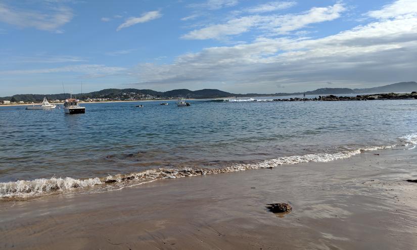 Terrigal Haven on a dry weather sampling day