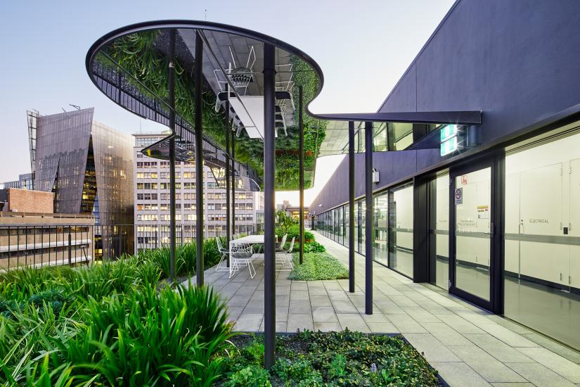 Green roof at building 7