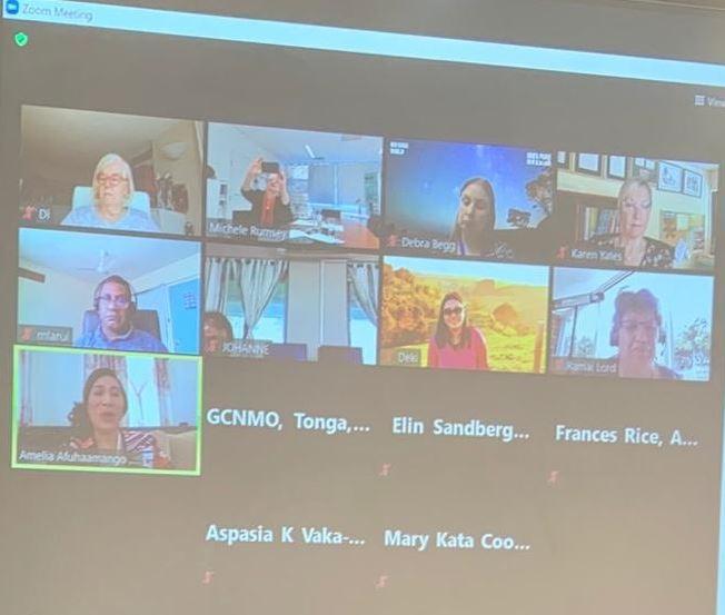 Screenshot of zoom meeting