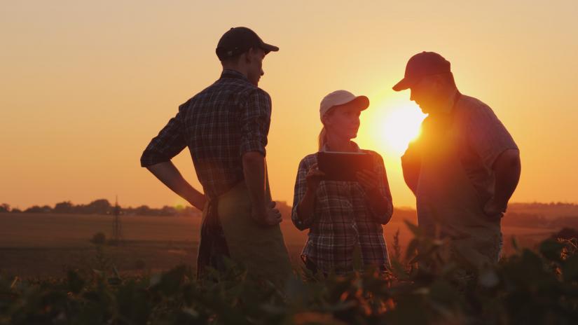 Two men and one woman having a discussion in a field at sunset