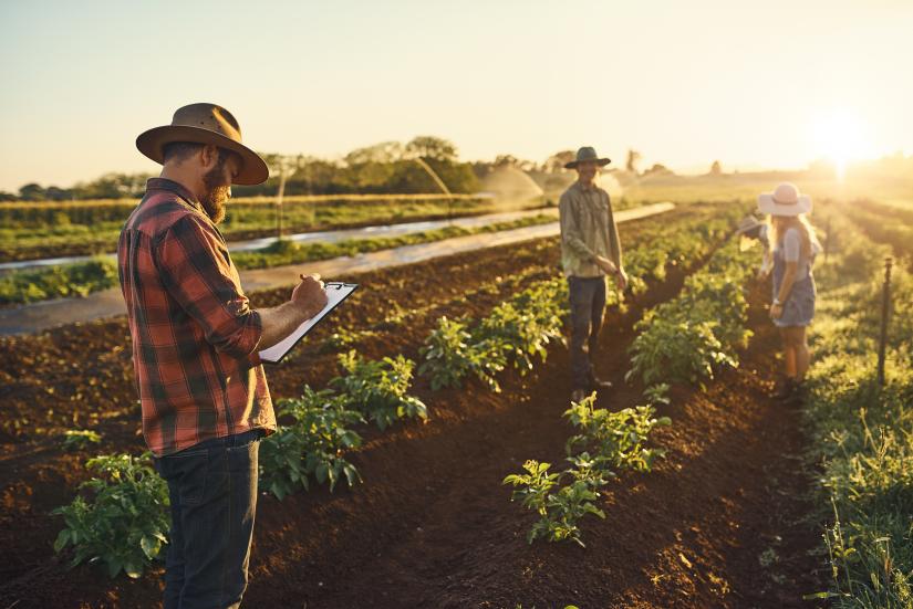 Man with clipboard tending to farm