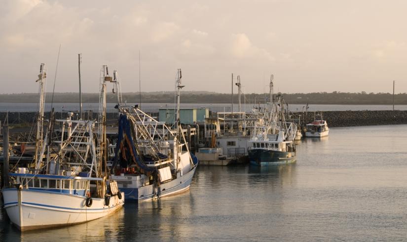 Fishing boats docked at marina