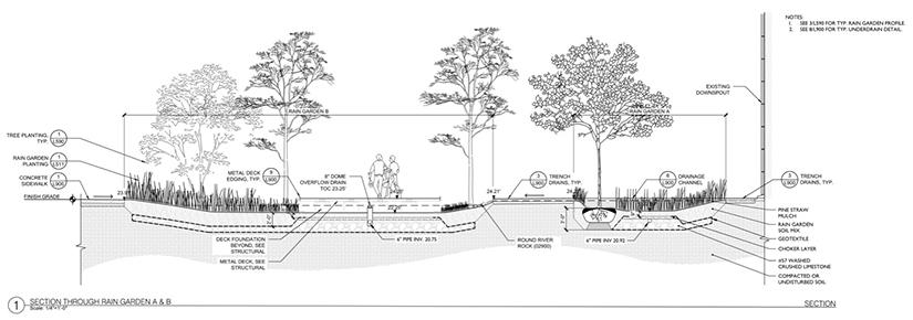 Line drawing of tulane university stormwater gardens