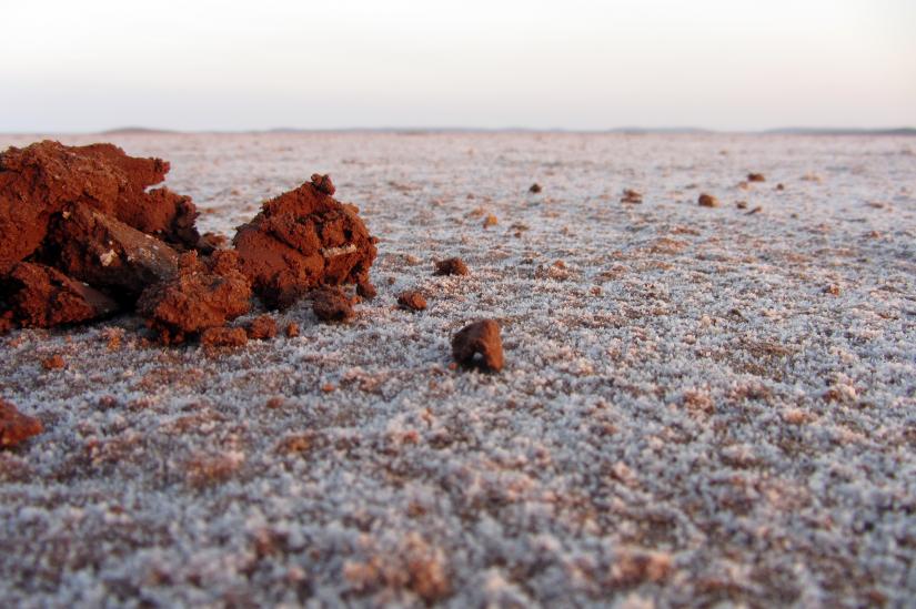 The archaeal organism Haloferax volcanii is a common inhabitant of salt lakes around the globe, such as the partly dry Lake Gairdner in South Australia. Picture by Bernhard Tschitschko." title="The archaeal organism Haloferax volcanii is a common inhabitant of salt lakes around the globe, such as the partly dry Lake Gairdner in South Australia. Picture by Bernhard Tschitschko