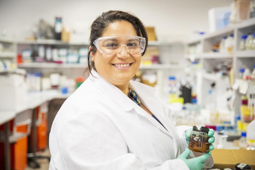 Long-standing honey expert Dr Nural Cokcetin works on samples in the laboratory. Photo by Andy Roberts.