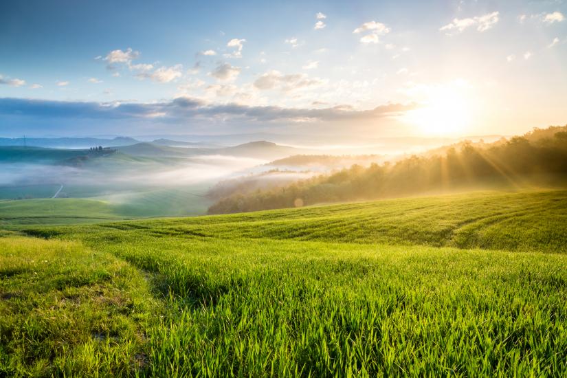 Green field and sunrise