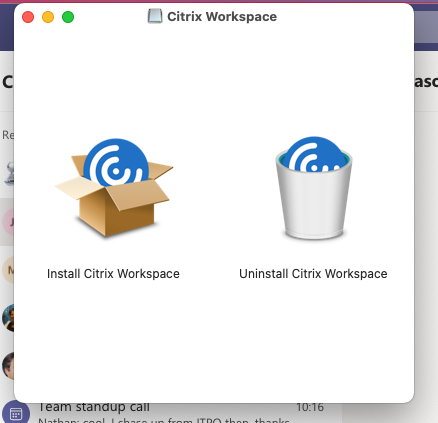 Screenshot Citrix WorkSpace - install