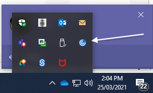 Screenshot Citrix WorkSpace - icon