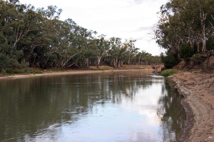 The Murrumbidgee River at Hay