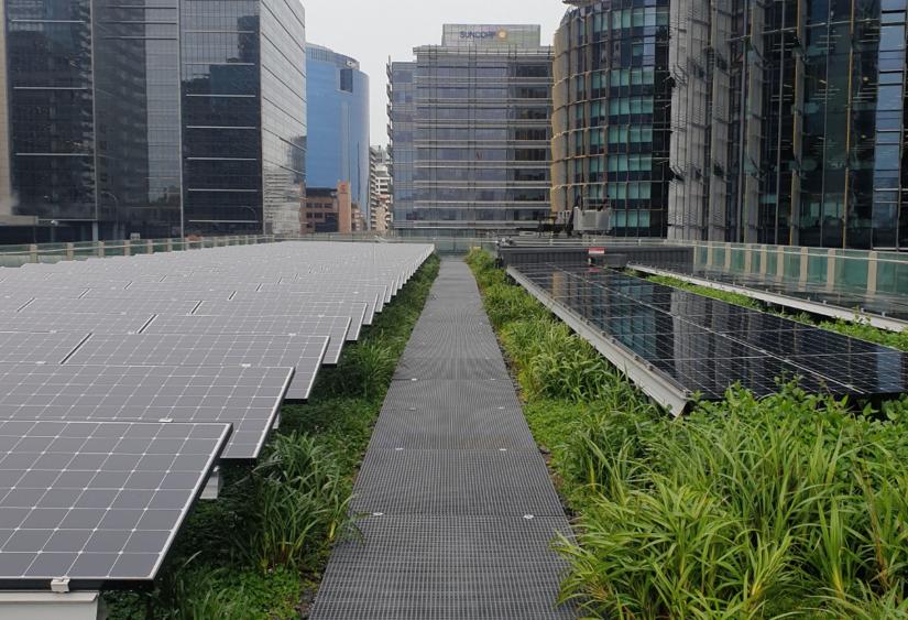 The rooftop with combined solar panels and plants installed