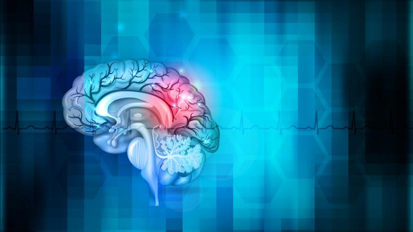 Illustration of human brain on blue background