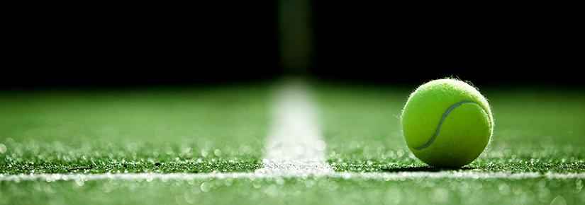 A tennis ball on a lawn tennis court