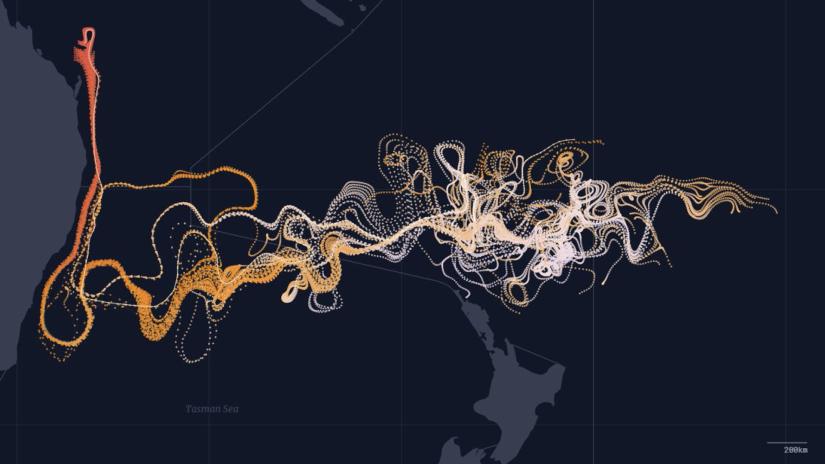 Map of marine microbes