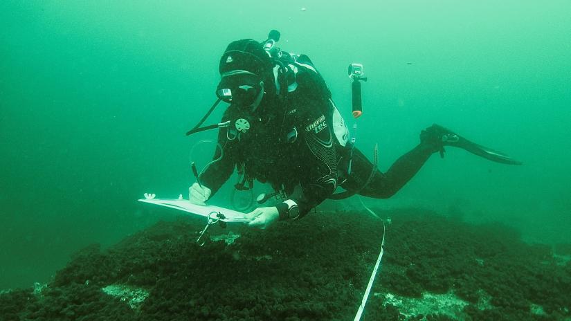 Dr Jen Matthews surveys the health and spread of Sydney’s corals