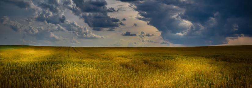 a grassy field under a cloudy sky