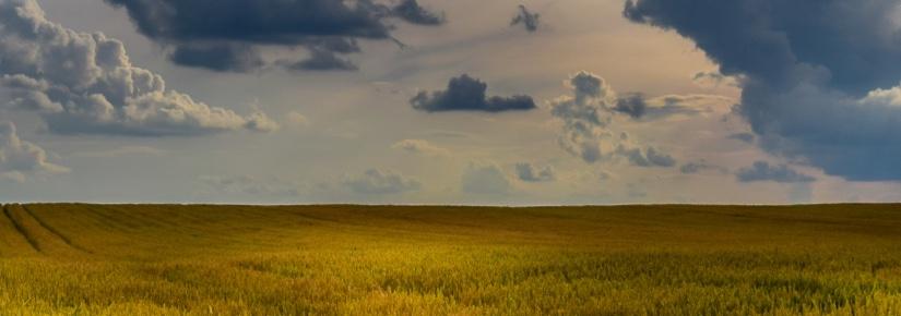 a grassy field under a cloudy sky