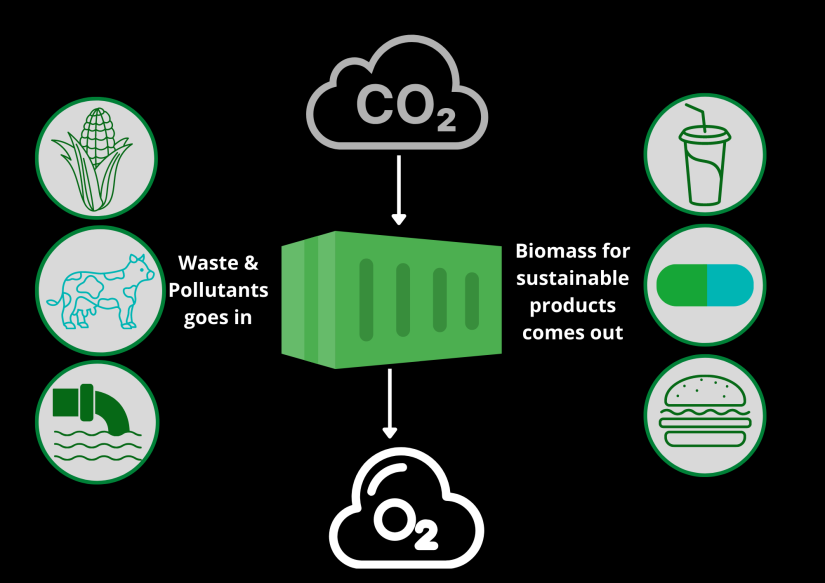 Wastewater and carbon emissions are transformed into algae biomass in the Green Genie