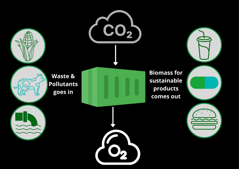 Wastewater and carbon emissions are transformed into algae biomass in the Green Genie 