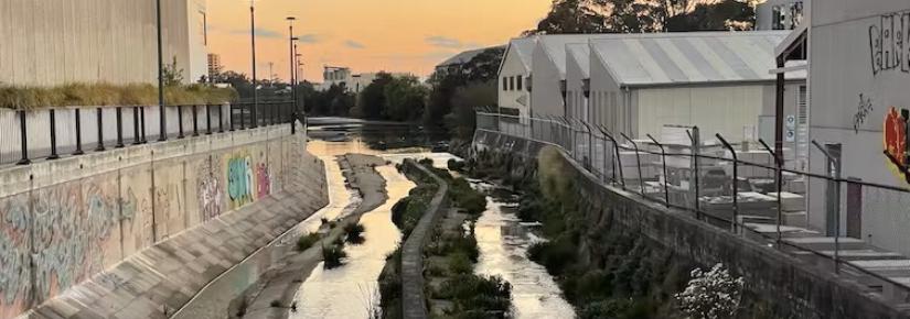 Sheas Creek runs into Alexandra Canal. Photo: Ilaria Vanni, Author provided