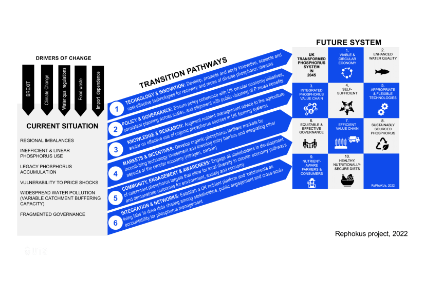 ISF Uk Phosphorus transformation model diagram