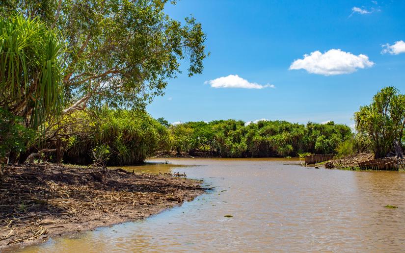 Kakadu Yellow Water (Ngurrungurrudjba) Wetlands