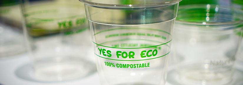 A stock picture of compostable bioplastic cups  