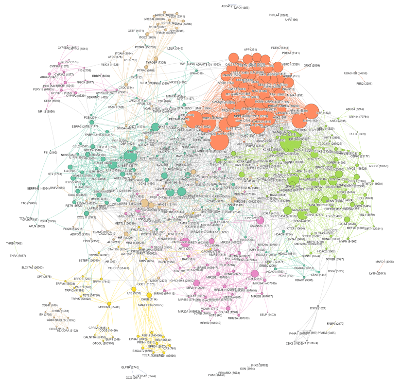 Bubble map with connectors showing gene co-occurrences
